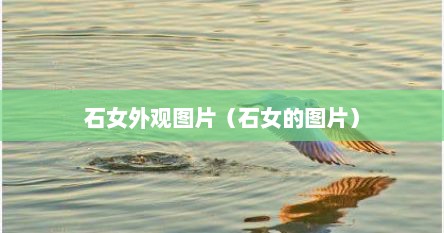 石女外观图片（石女的图片）