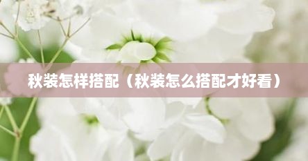 秋装怎样搭配（秋装怎么搭配才好看）