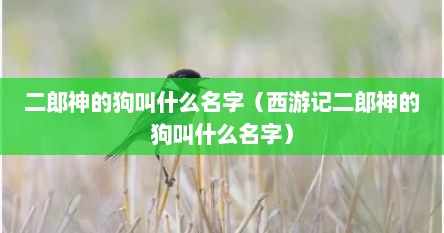 二郎神的狗叫什么名字（西游记二郎神的狗叫什么名字）
