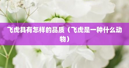 飞虎具有怎样的品质（飞虎是一种什么动物）