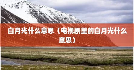 白月光什么意思（电视剧里的白月光什么意思）