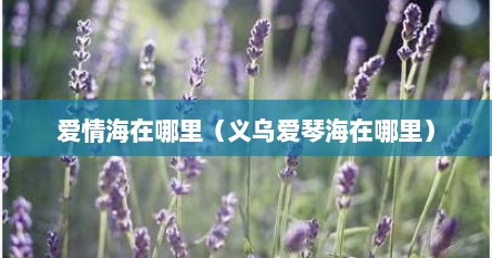 爱情海在哪里（义乌爱琴海在哪里）