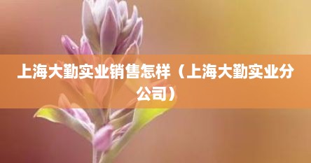 上海大勤实业销售怎样（上海大勤实业分公司）