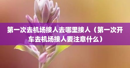 第一次去机场接人去哪里接人（第一次开车去机场接人要注意什么）