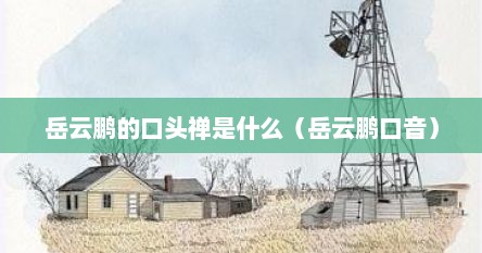岳云鹏的口头禅是什么（岳云鹏口音）