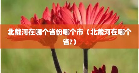 北戴河在哪个省份哪个市（北戴河在哪个省?）