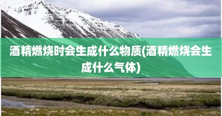 酒精燃烧时会生成什么物质(酒精燃烧会生成什么气体)