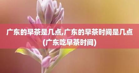 广东的早茶是几点,广东的早茶时间是几点(广东吃早茶时间)