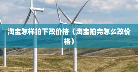 淘宝怎样拍下改价格（淘宝拍完怎么改价格）