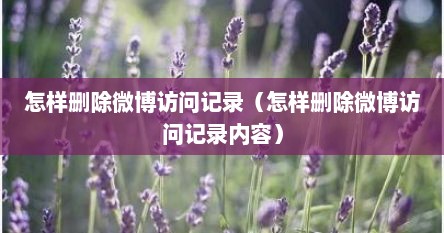 怎样删除微博访问记录（怎样删除微博访问记录内容）
