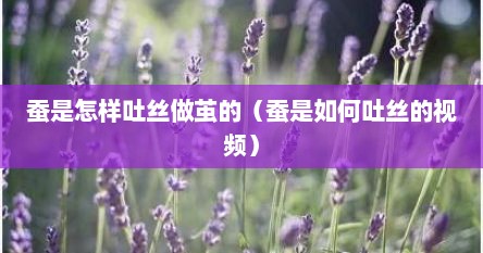 蚕是怎样吐丝做茧的（蚕是如何吐丝的视频）