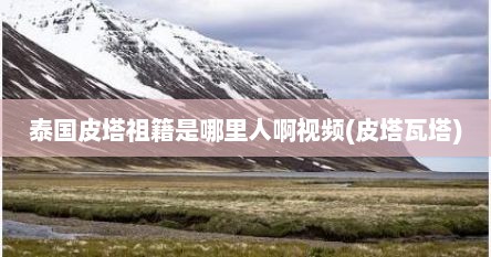 泰国皮塔祖籍是哪里人啊视频(皮塔瓦塔)