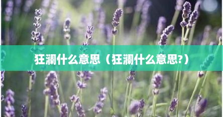 狂澜什么意思（狂澜什么意思?）