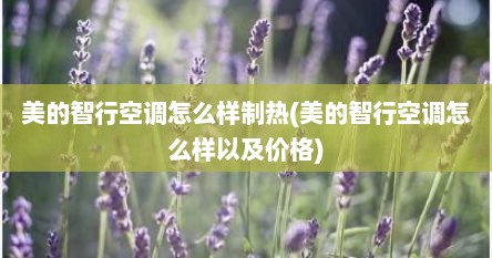 美的智行空调怎么样制热(美的智行空调怎么样以及价格)