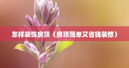 怎样装饰房顶（房顶简单又省钱装修）