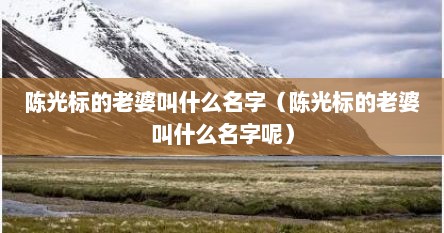 陈光标的老婆叫什么名字（陈光标的老婆叫什么名字呢）