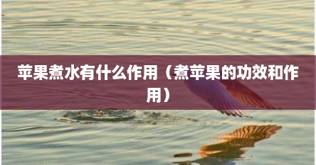苹果煮水有什么作用（煮苹果的功效和作用）