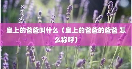皇上的爸爸叫什么（皇上的爸爸的爸爸 怎么称呼）