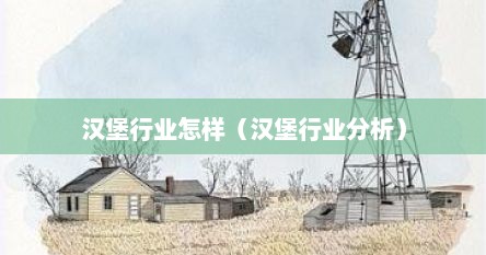 汉堡行业怎样（汉堡行业分析）