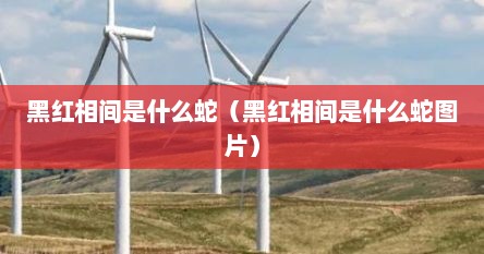 黑红相间是什么蛇（黑红相间是什么蛇图片）