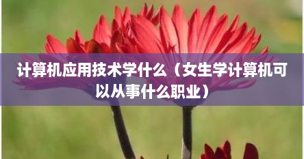 计算机应用技术学什么（女生学计算机可以从事什么职业）