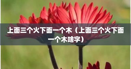 上面三个火下面一个木（上面三个火下面一个木啥字）