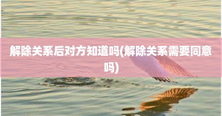 解除关系后对方知道吗(解除关系需要同意吗)