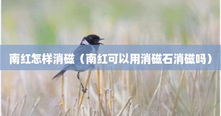 南红怎样消磁（南红可以用消磁石消磁吗）