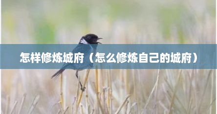 怎样修炼城府（怎么修炼自己的城府）