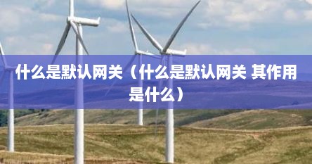 什么是默认网关（什么是默认网关 其作用是什么）