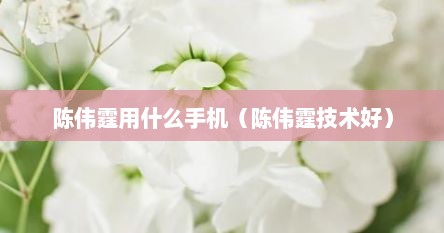 陈伟霆用什么手机（陈伟霆技术好）