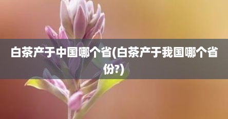 白茶产于中国哪个省(白茶产于我国哪个省份?)