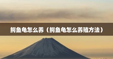 鳄鱼龟怎么养（鳄鱼龟怎么养殖方法）