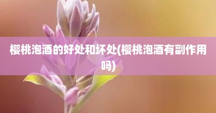 樱桃泡酒的好处和坏处(樱桃泡酒有副作用吗)