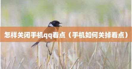 怎样关闭手机qq看点（手机如何关掉看点）