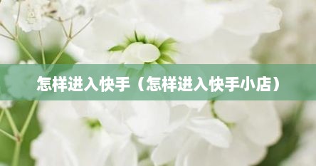 怎样进入快手（怎样进入快手小店）