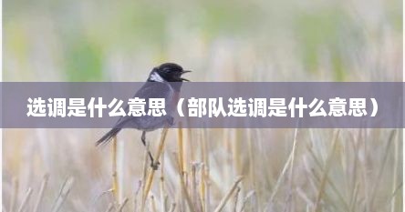 选调是什么意思（部队选调是什么意思）