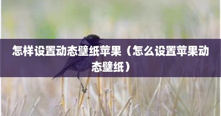 怎样设置动态壁纸苹果（怎么设置苹果动态壁纸）
