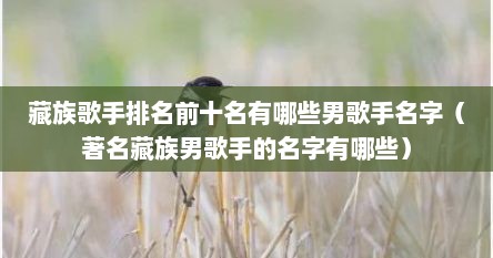藏族歌手排名前十名有哪些男歌手名字（著名藏族男歌手的名字有哪些）