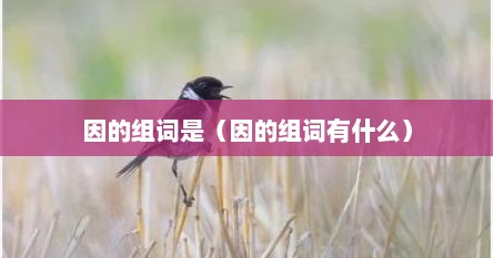 因的组词是（因的组词有什么）