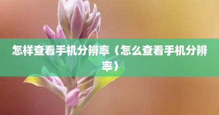 怎样查看手机分辨率（怎么查看手机分辨率）