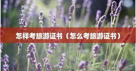 怎样考旅游证书（怎么考旅游证书）