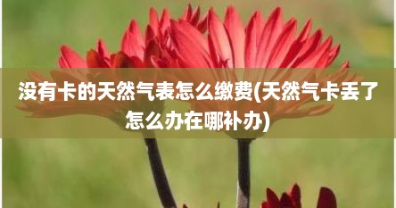 没有卡的天然气表怎么缴费(天然气卡丢了怎么办在哪补办)