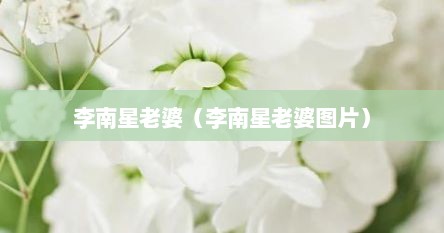 李南星老婆（李南星老婆图片）