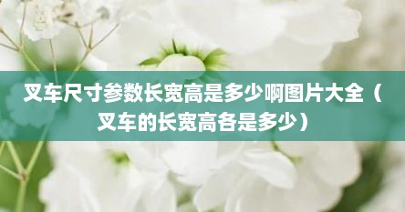 叉车尺寸参数长宽高是多少啊图片大全（叉车的长宽高各是多少）