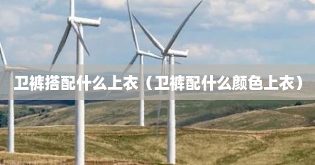 卫裤搭配什么上衣（卫裤配什么颜色上衣）
