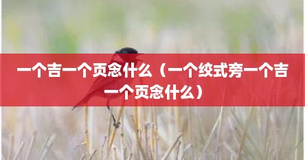 一个吉一个页念什么（一个绞式旁一个吉一个页念什么）
