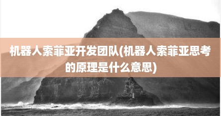 机器人索菲亚开发团队(机器人索菲亚思考的原理是什么意思)