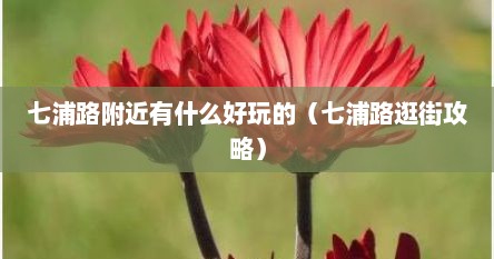 七浦路附近有什么好玩的（七浦路逛街攻略）