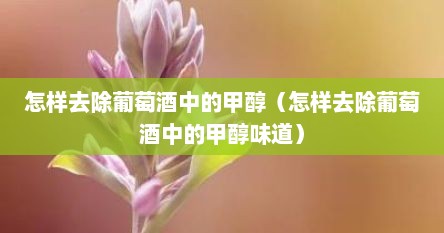 怎样去除葡萄酒中的甲醇（怎样去除葡萄酒中的甲醇味道）